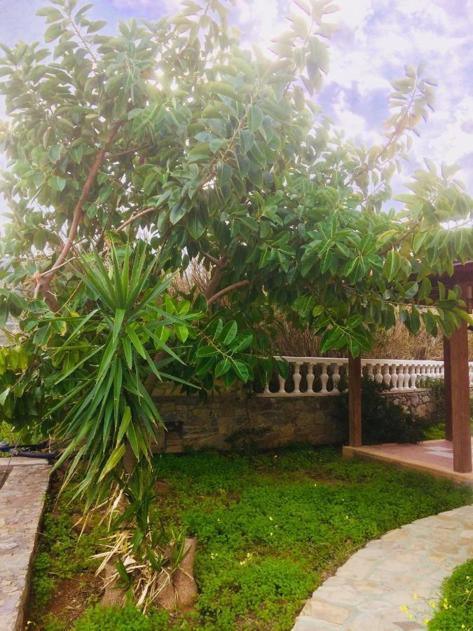 House Of Light Apartment Sitia  Ngoại thất bức ảnh
